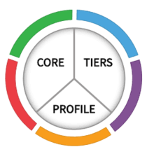 [Cybersecurity Architecture] NIST CSF Security Tiers vs Security Maturity Level